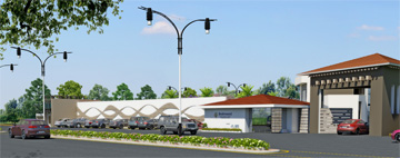 The School